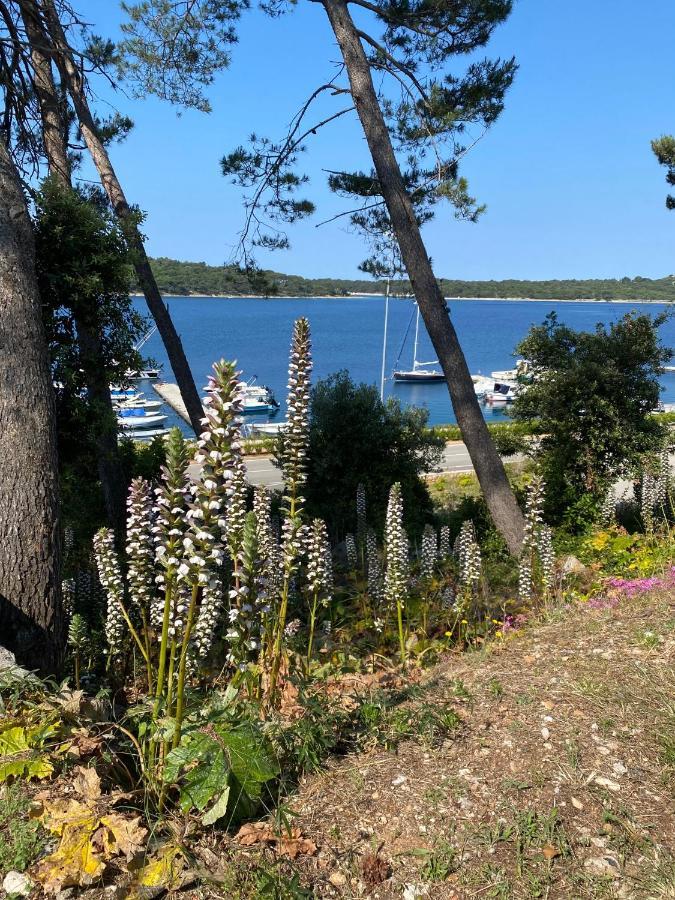 Apartments Tasha Mali Losinj Bagian luar foto
